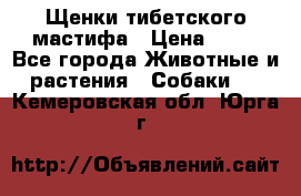 Щенки тибетского мастифа › Цена ­ 80 - Все города Животные и растения » Собаки   . Кемеровская обл.,Юрга г.